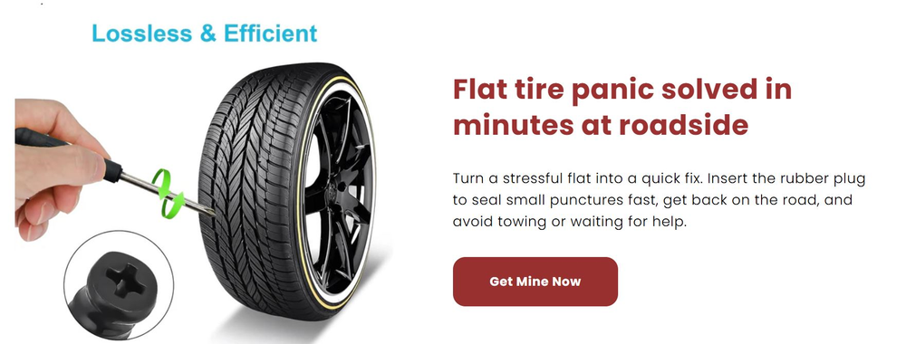 QuickFix Tire Plug Kit